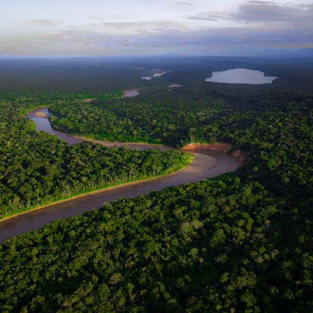 Madidi Bolivia